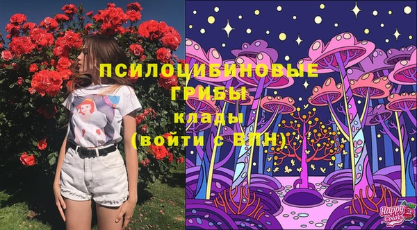 амф Кодинск