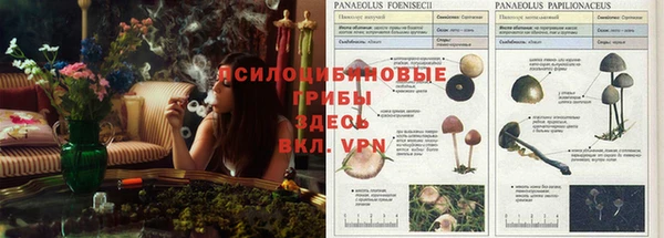 бутират Козловка